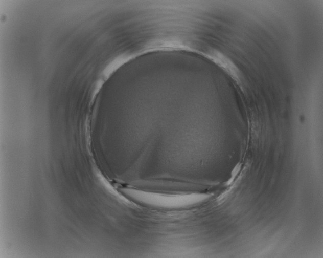 X0000070351382200606231546