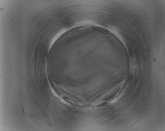 X0000070351390200606231546