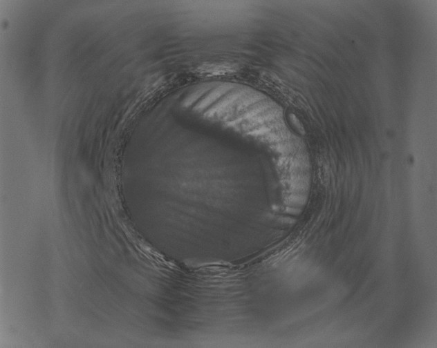 X0000070351393200606231545