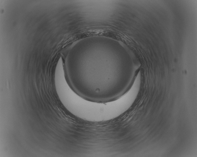 X0000070351394200606231545