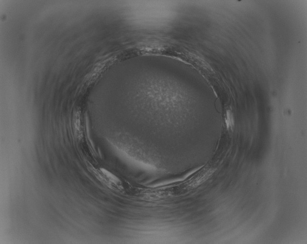 X0000070351396200606231545