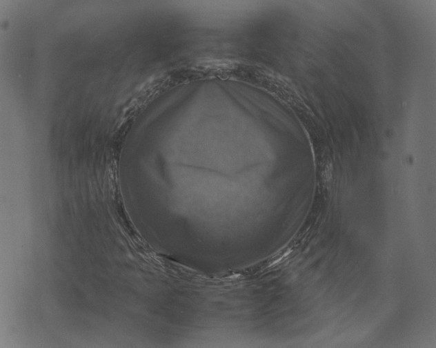 X0000070351397200606231545