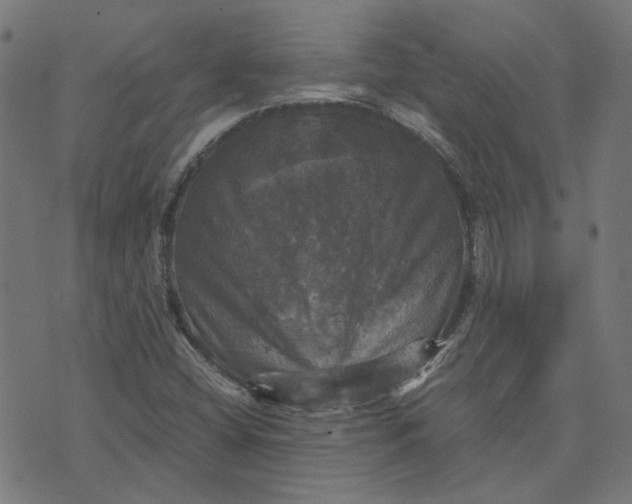 X0000070351404200606231546