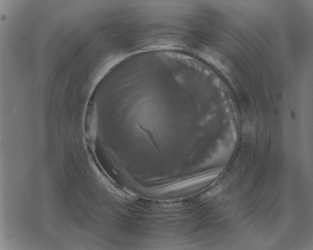 X0000070351423200606231546