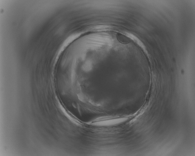 X0000070351429200606231546