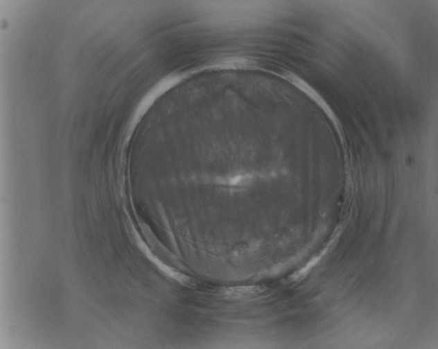 X0000070351437200606231546