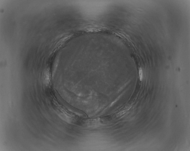 X0000070351444200606231545