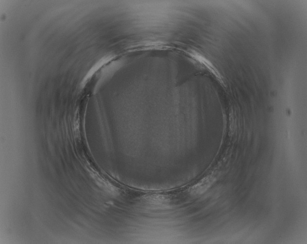 X0000070351450200606231545