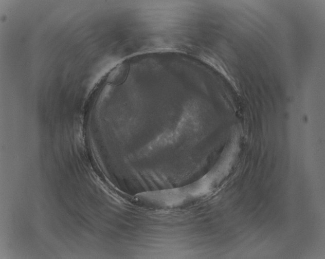 X0000070351452200606231545