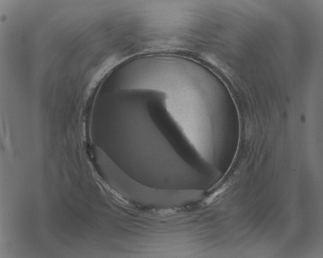 X0000070351459200606231545