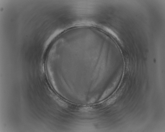 X0000070351462200606231545