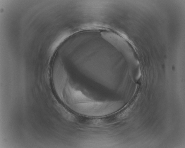 X0000070351463200606231545