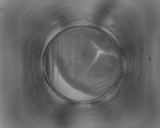 X0000070351466200606231545