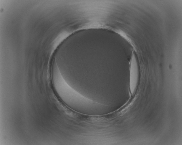 X0000070351469200606231545