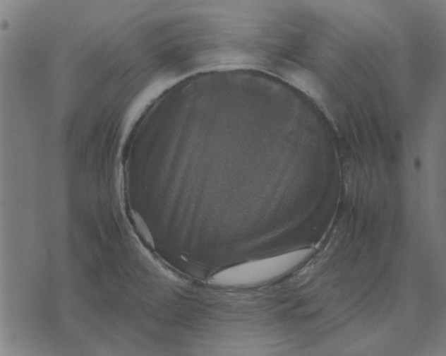 X0000070351472200606231545