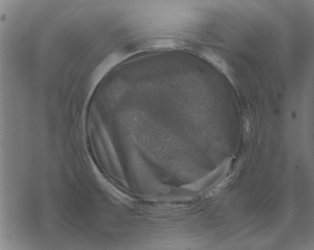 X0000070351475200606231545