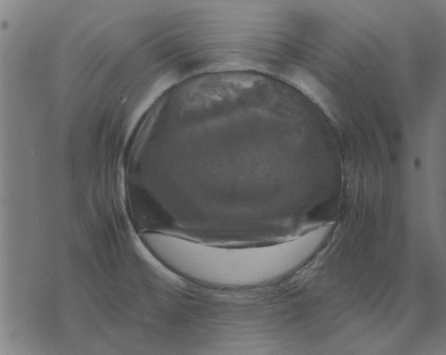 X0000070351476200606231545
