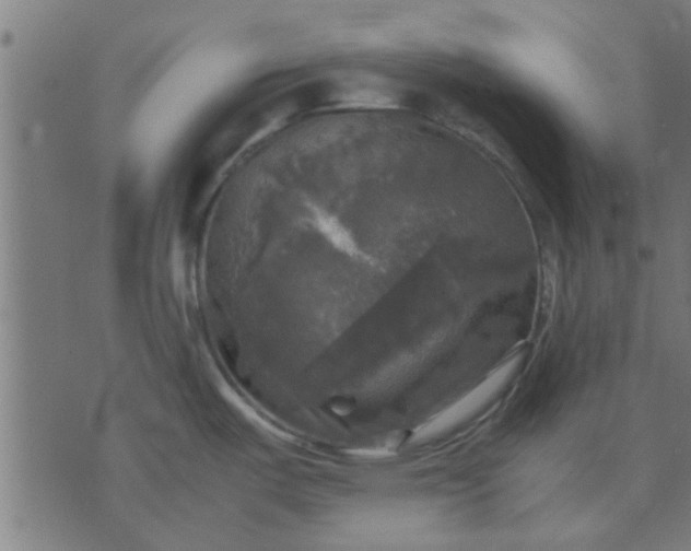 X0000070351487200606231545