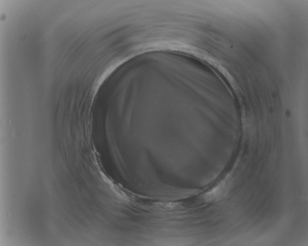 X0000070351529200606231544