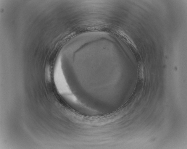 X0000070350026200606301817