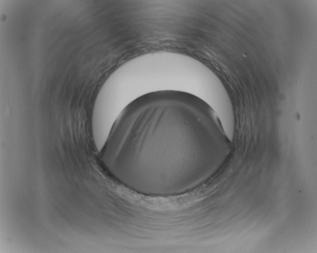 X0000070350030200606301817