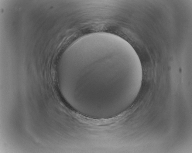 X0000070350035200606301817