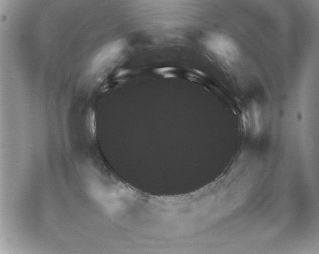 X0000070350041200606301817