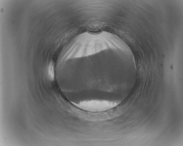 X0000070350042200606301817