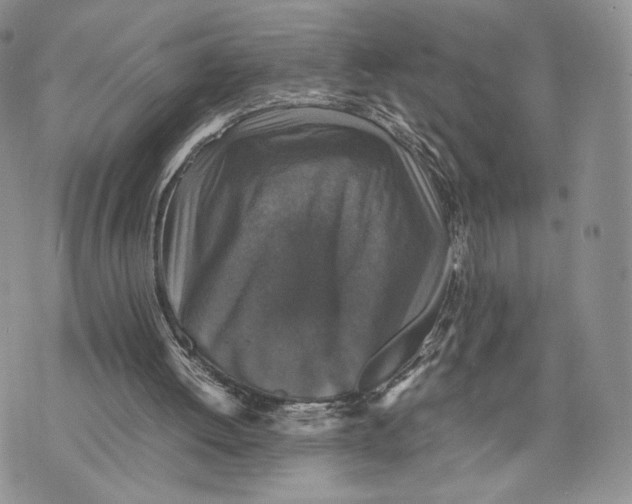 X0000070350052200606301816