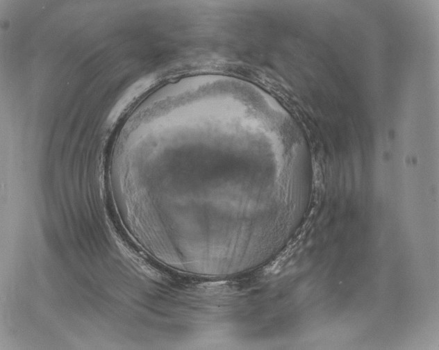 X0000070350054200606301816