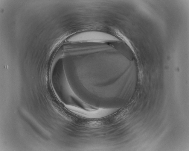 X0000070350059200606301816