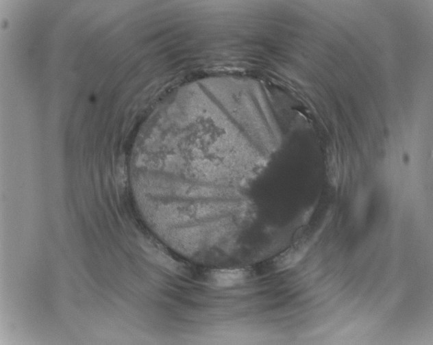 X0000070350085200606301816