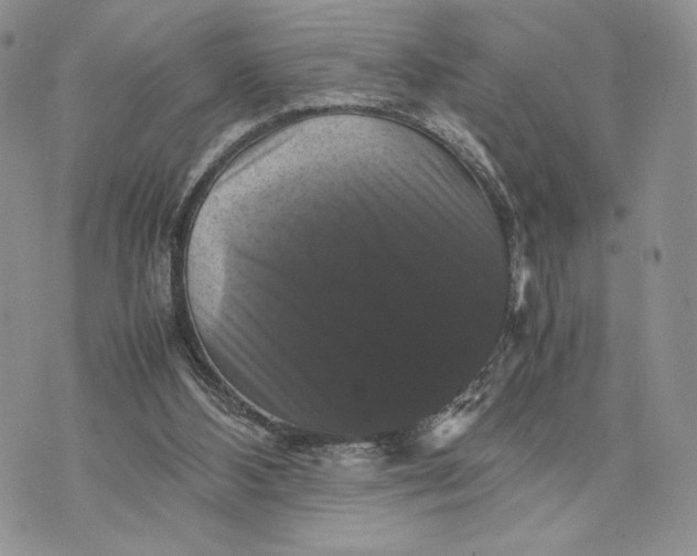 X0000070350108200606301815