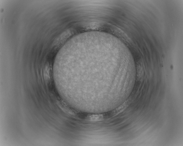 X0000070350126200606301815