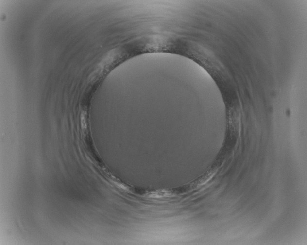 X0000070350127200606301815