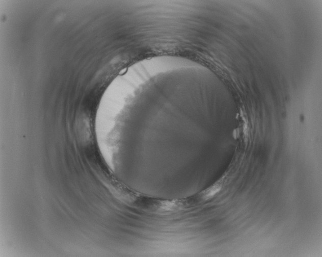 X0000070350130200606301815