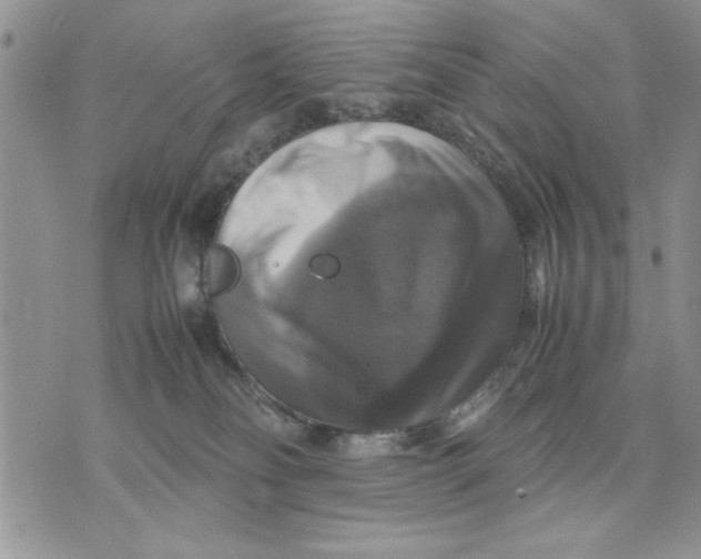X0000070350134200606301815