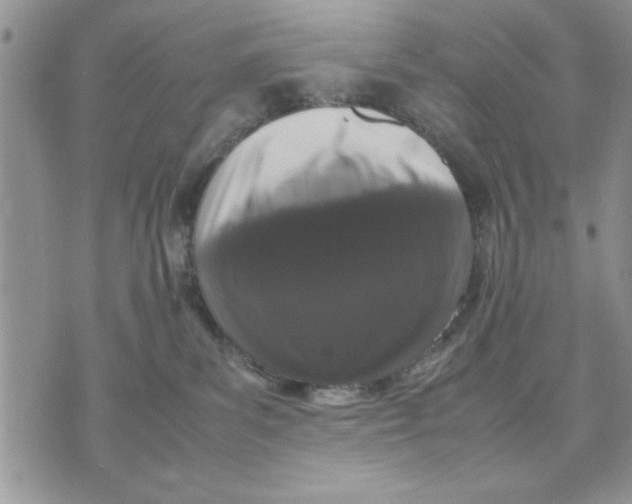 X0000070350139200606301815