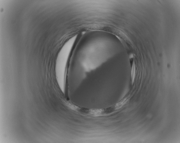X0000070350143200606301815