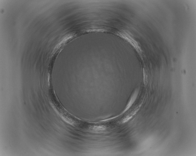 X0000070350157200606301814