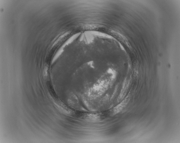 X0000070350166200606301814