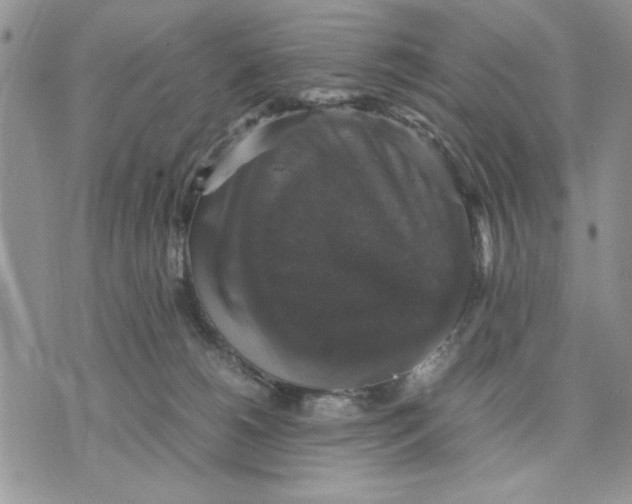 X0000070350180200606301815