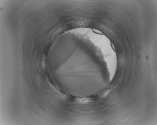 X0000070350181200606301815