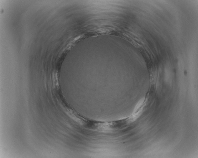 X0000070350182200606301815