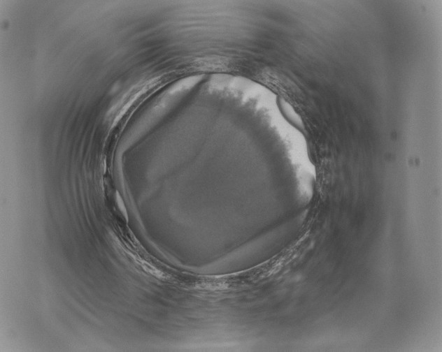 X0000070350194200606301814