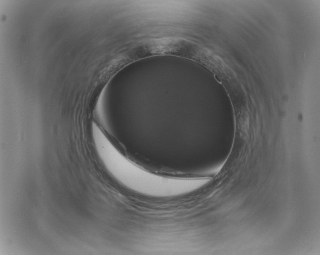 X0000070350219200606301814