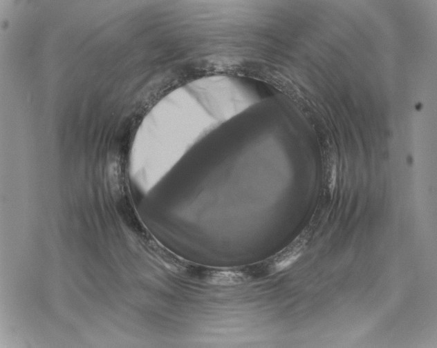 X0000070350222200606301814