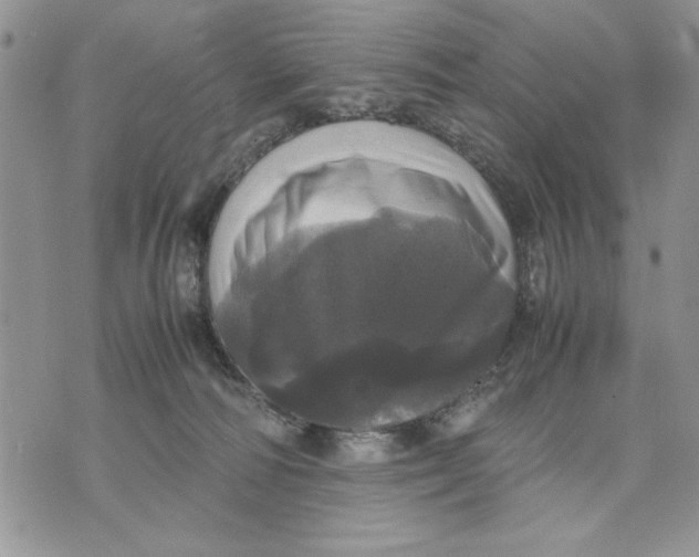 X0000070350226200606301814