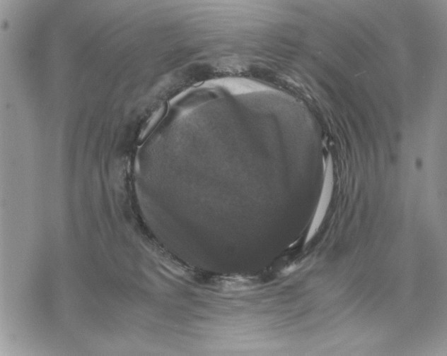 X0000070350229200606301814
