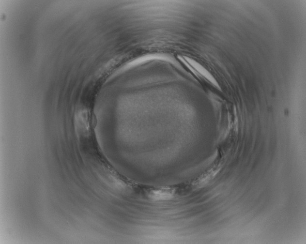 X0000070350232200606301813